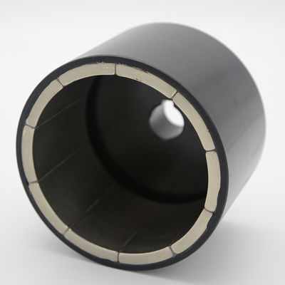 Plastic Overmolded 8 Poles Magnetic Rotor